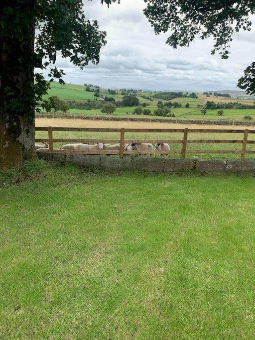 Ivy House Farm, Near Longnor Longnor (Staffordshire) Exterior foto