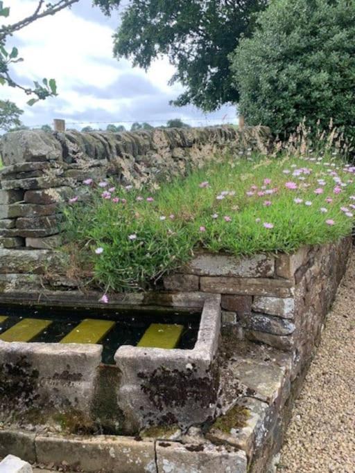 Ivy House Farm, Near Longnor Longnor (Staffordshire) Exterior foto
